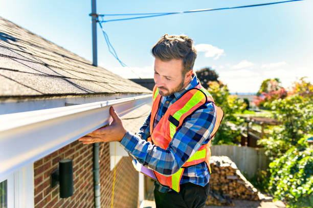 Best Roof Moss and Algae Removal  in Abingdon, IL